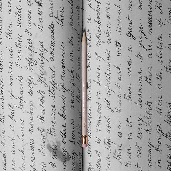 Pencil in Pink - detail view 5
